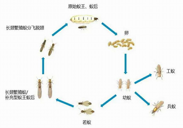 售后服务之提醒篇