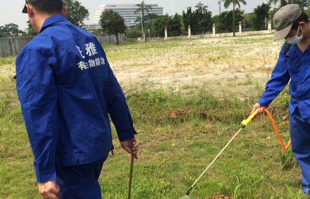   从化监狱红火蚁情况复检|杀虫公司|灭红火蚁|广州灭虫