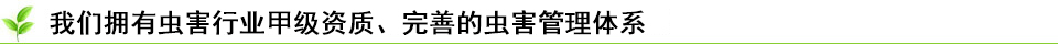 我们拥有行业最高级的资质，最安全的认证，最完善的经营体系