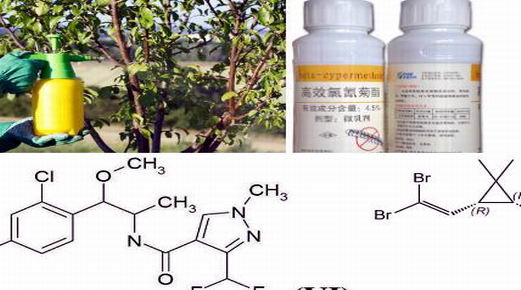 广州灭蚊公司